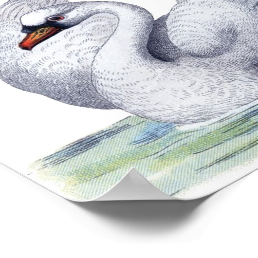  zwembad Poster (Hoek)