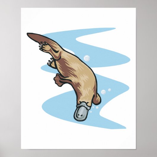 zwembad van eend poster (Voorkant)