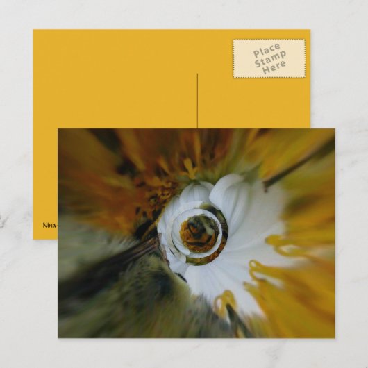 Zwembeez Briefkaart (Voorkant / Achterkant)