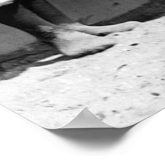 ZWEMBLAUTEFLORIDA 1920 POSTER (Hoek)