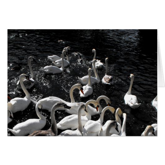 Zwembriefkaart (Voorkant Horizontaal)