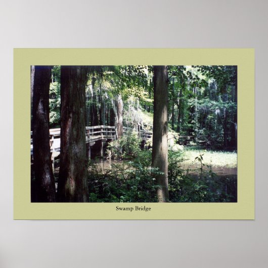 Zwembrug Poster (Voorkant)