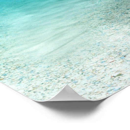 Zwemdolfijnen Poster (Hoek)