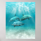 Zwemdolfijnen Poster (Voorkant)