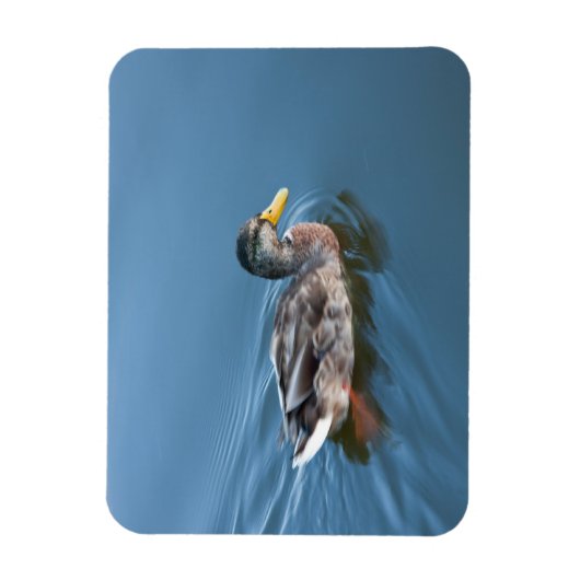 Zwemeend Magneet (Verticaal)