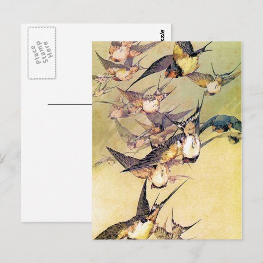 Zwemelen Briefkaart (Voorkant / Achterkant)