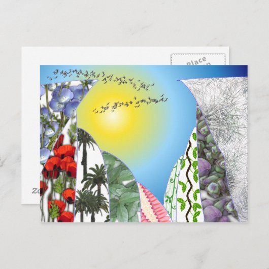 Zwemelen Briefkaart (Voorkant / Achterkant)