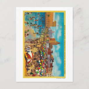 Zwemelen in de Lagoon, Long Beach Briefkaart