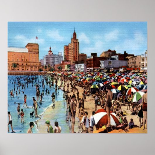 Zwemelen in de lagune poster (Voorkant)