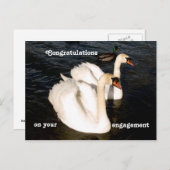 Zwemelen in de zon briefkaart (Voorkant / Achterkant)