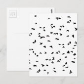 Zwemelen in luchtvogel afdrukken briefkaart (Voorkant / Achterkant)