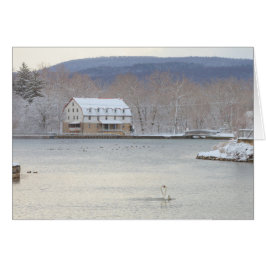 Zwemelen in vijver met molens en heuvels