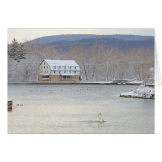 Zwemelen in vijver met molens en heuvels