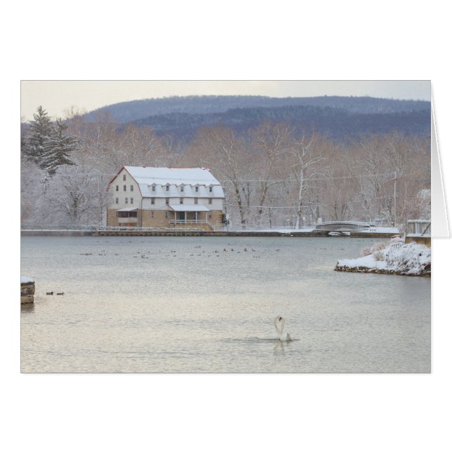 Zwemelen in vijver met molens en heuvels (Voorkant Horizontaal)