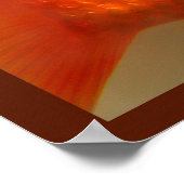 Zwemelen met de vissers poster (Hoek)