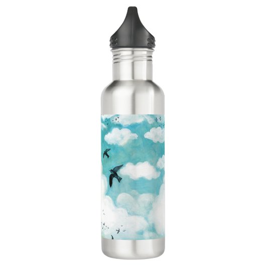 Zwemelen over troebele blauwe hemel waterfles  (Links)