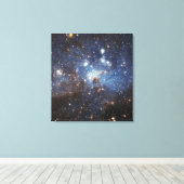 Zwemelen van gas en stof canvas afdruk (Insitu (Houten vloer))