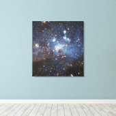 Zwemelen van gas en stof canvas afdruk (Insitu (Houten vloer))