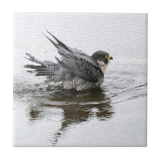 Zwemelend kleine keramische tegel tegeltje (Voorkant)