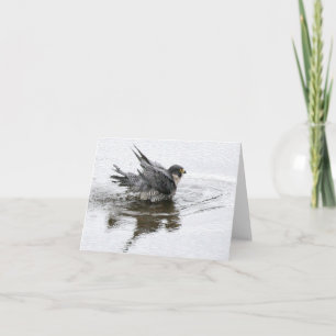 Zwemelheidsnota of -Wenskaart Kaart