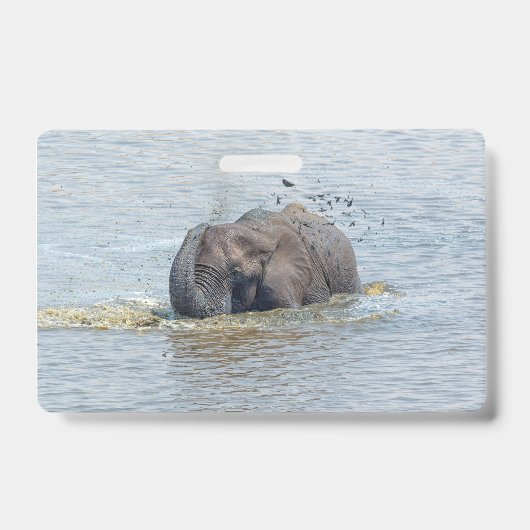Zwemelolifant Badge (Voorzijde)