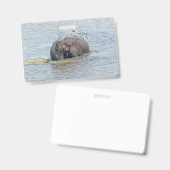 Zwemelolifant Badge (Voor- en achterkant)
