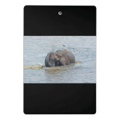 Zwemelolifant Mini Klembord (Achterkant)