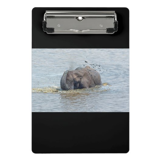Zwemelolifant Mini Klembord (Voorkant)