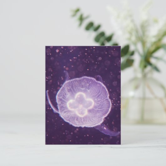 Zwemelvis Briefkaart (Staand voorkant)