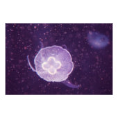 Zwemelvis Foto Afdruk (Voorkant)