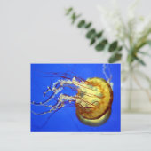Zwemelvis op blauw Briefkaart (Staand voorkant)
