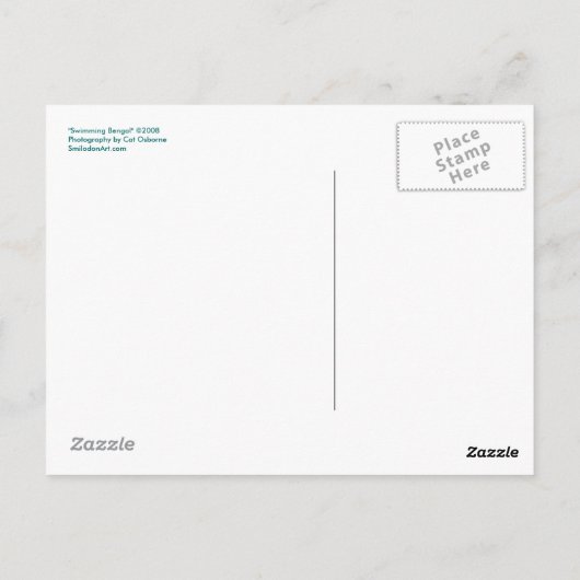 Zwemend tijger Briefkaart (Achterkant)