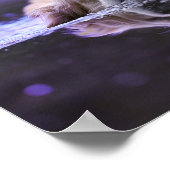 Zwemende Golden Retriever Poster (Hoek)