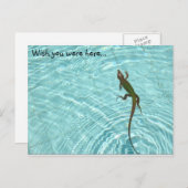 Zwemende hagedis briefkaart (Voorkant / Achterkant)