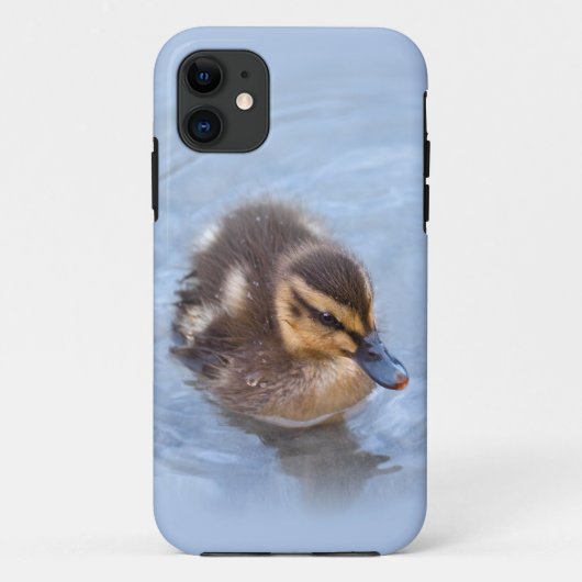 Zwemende jonge eend iPhone 5 Hoes (Achterkant)