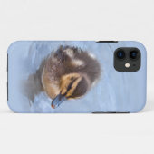 Zwemende jonge eend iPhone 5 Hoes (Achterkant (horizontaal))