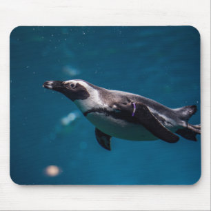 Zwemende pinguïn in de zee. muismat