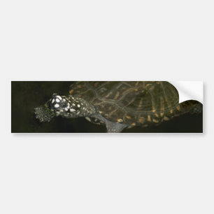 Zwemende Schildpad Bumpersticker
