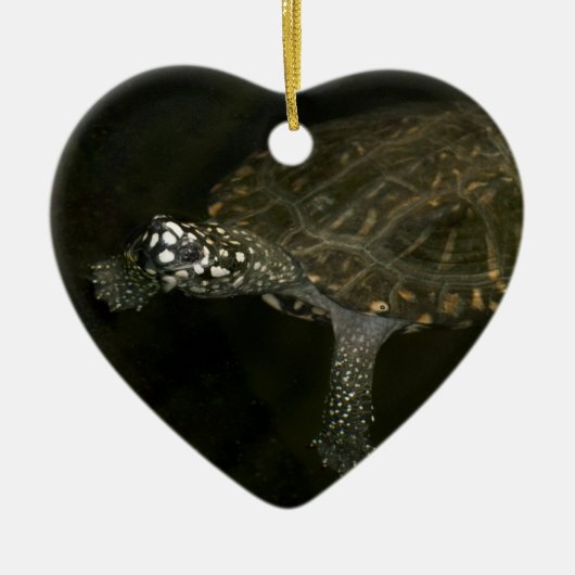 Zwemende Schildpad Keramisch Ornament (Voorkant)