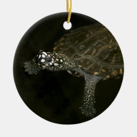 Zwemende Schildpad Keramisch Ornament (Voorkant)
