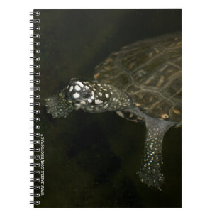 Zwemende Schildpad Notitieboek