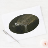 Zwemende Schildpad Ovale Sticker (Envelop)