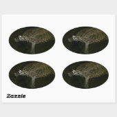Zwemende Schildpad Ovale Sticker (Vel)
