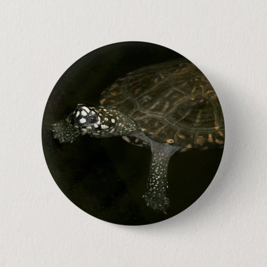 Zwemende Schildpad Ronde Button 5,7 Cm (Voorkant)