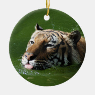 Zwemende tijgerversiering keramisch ornament
