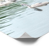 Zwemenfamilie Poster (Hoek)