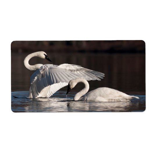 Zwemens Etiket (Voorkant)