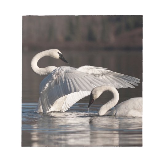 Zwemens Notitieblok (Voorkant)