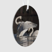 Zwemens Ornament (voorkant)