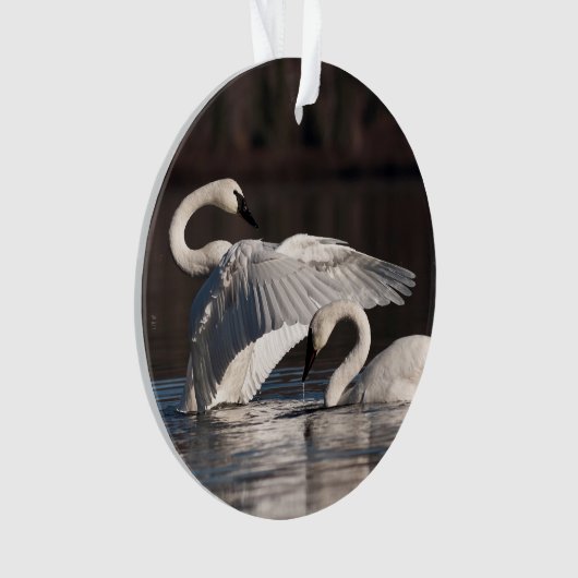 Zwemens Ornament (voorkant)